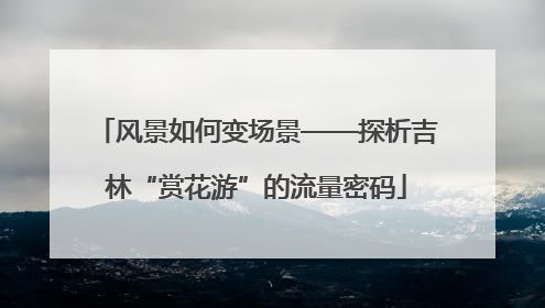 风景如何变场景——探析吉林“赏花游”的流量密码