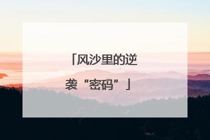 风沙里的逆袭“密码”