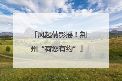 风起倩影摇！荆州“荷您有约”