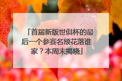 首届新版世俱杯的最后一个参赛名额花落谁家？本周末揭晓