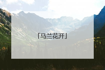马兰花开