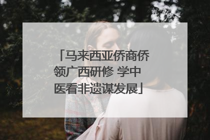 马来西亚侨商侨领广西研修 学中医看非遗谋发展