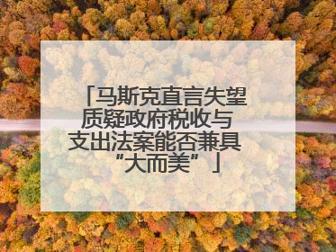 马斯克直言失望 质疑政府税收与支出法案能否兼具“大而美”