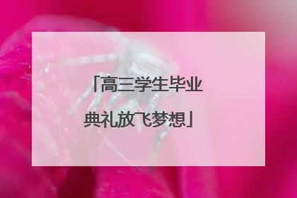 高三学生毕业典礼放飞梦想