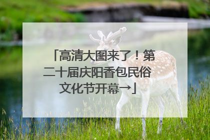 高清大图来了！第二十届庆阳香包民俗文化节开幕→