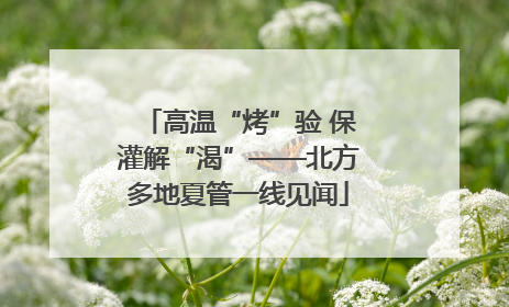 高温“烤”验 保灌解“渴”——北方多地夏管一线见闻
