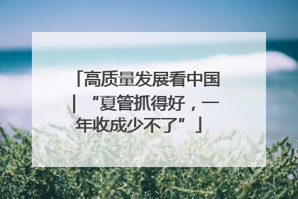 高质量发展看中国｜“夏管抓得好，一年收成少不了”