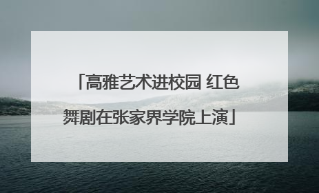 高雅艺术进校园 红色舞剧在张家界学院上演