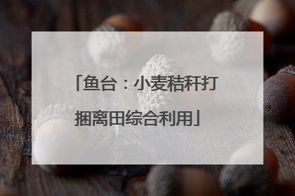 鱼台：小麦秸秆打捆离田综合利用