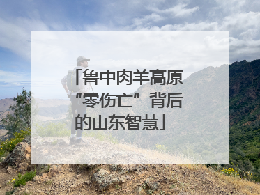 鲁中肉羊高原“零伤亡”背后的山东智慧