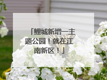 鲤城新增一主题公园！就在江南新区！