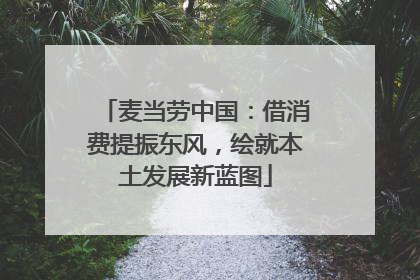 麦当劳中国：借消费提振东风，绘就本土发展新蓝图