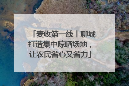 麦收第一线丨聊城打造集中晾晒场地，让农民省心又省力