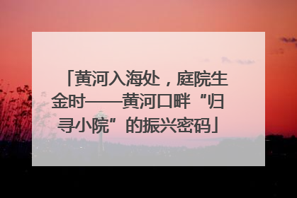 黄河入海处，庭院生金时——黄河口畔“归寻小院”的振兴密码