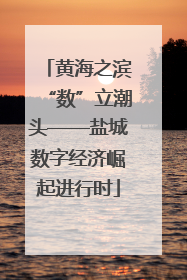 黄海之滨“数”立潮头——盐城数字经济崛起进行时