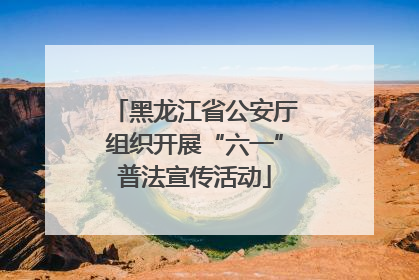 黑龙江省公安厅组织开展“六一”普法宣传活动