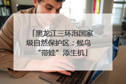 黑龙江三环泡国家级自然保护区：候鸟“带娃”添生机