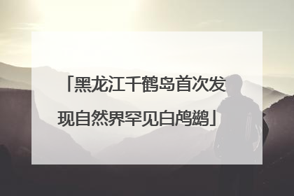 黑龙江千鹤岛首次发现自然界罕见白鸬鹚