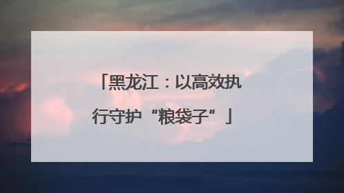 黑龙江：以高效执行守护“粮袋子”