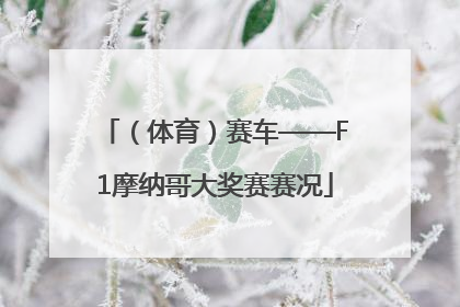 （体育）赛车——F1摩纳哥大奖赛赛况