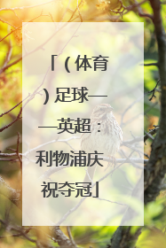 （体育）足球——英超：利物浦庆祝夺冠