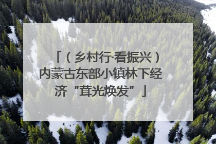 （乡村行·看振兴）内蒙古东部小镇林下经济“茸光焕发”
