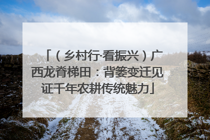 （乡村行·看振兴）广西龙脊梯田：背篓变迁见证千年农耕传统魅力