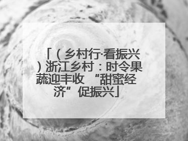 （乡村行·看振兴）浙江乡村：时令果蔬迎丰收 “甜蜜经济”促振兴