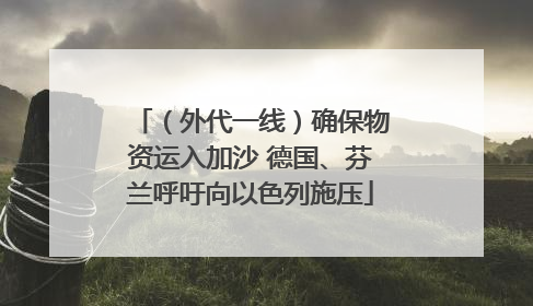 （外代一线）确保物资运入加沙 德国、芬兰呼吁向以色列施压