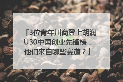 3位青年川商登上胡润U30中国创业先锋榜，他们来自哪些赛道？