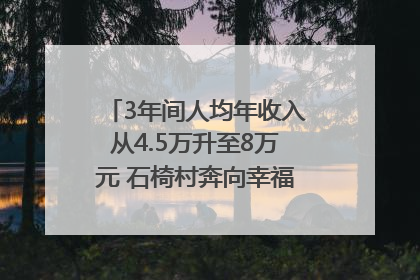 3年间人均年收入从4.5万升至8万元 石椅村奔向幸福好样子｜牵挂的村