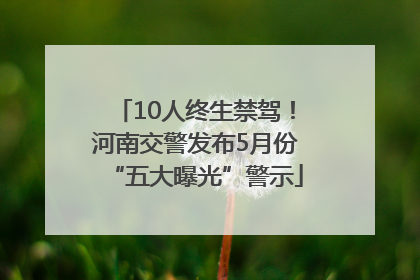 10人终生禁驾！河南交警发布5月份“五大曝光”警示