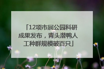 12项市属公园科研成果发布，青头潜鸭人工种群规模破百只