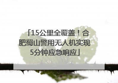 15公里全覆盖！合肥蜀山警用无人机实现5分钟应急响应