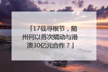 17载寻根节，随州何以首次撬动与港澳30亿元合作？