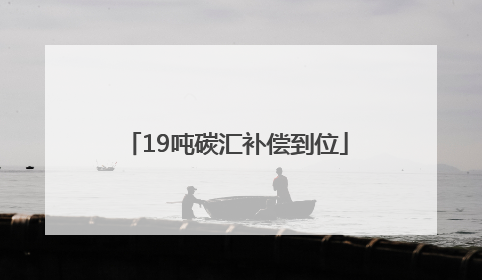 19吨碳汇补偿到位