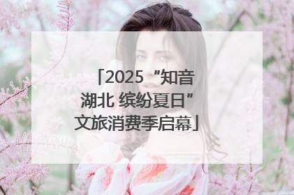 2025“知音湖北 缤纷夏日”文旅消费季启幕
