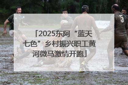 2025东阿“蓝天七色”乡村振兴职工黄河微马激情开跑