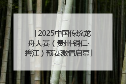 2025中国传统龙舟大赛（贵州·铜仁·碧江）预赛激情启幕