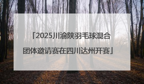 2025川渝陕羽毛球混合团体邀请赛在四川达州开赛