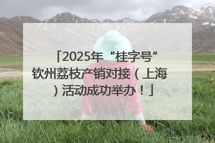 2025年“桂字号”钦州荔枝产销对接（上海）活动成功举办！