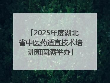 2025年度湖北省中医药适宜技术培训班圆满举办