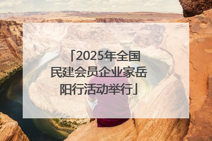 2025年全国民建会员企业家岳阳行活动举行