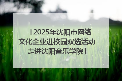 2025年沈阳市网络文化企业进校园双选活动走进沈阳音乐学院