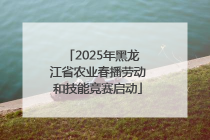 2025年黑龙江省农业春播劳动和技能竞赛启动