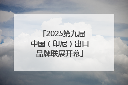2025第九届中国（印尼）出口品牌联展开幕