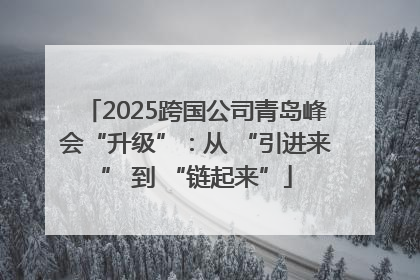 2025跨国公司青岛峰会“升级”：从 “引进来” 到 “链起来”
