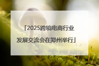 2025跨境电商行业发展交流会在郑州举行