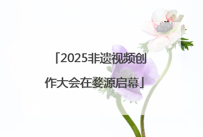 2025非遗视频创作大会在婺源启幕