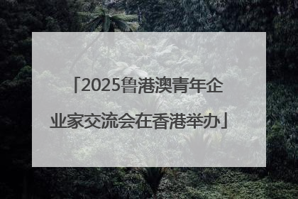 2025鲁港澳青年企业家交流会在香港举办